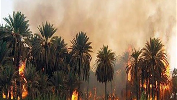 أرشيفية