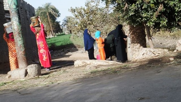 المواطن