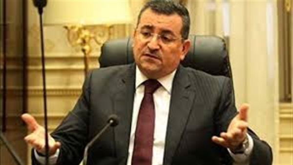 أسامة هيكل