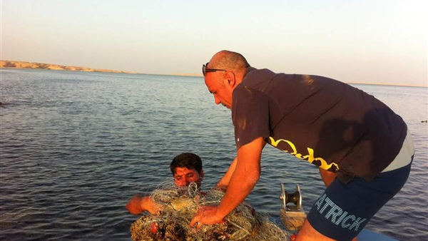 المواطن