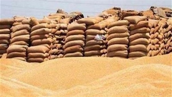 صومعة قمح العياط