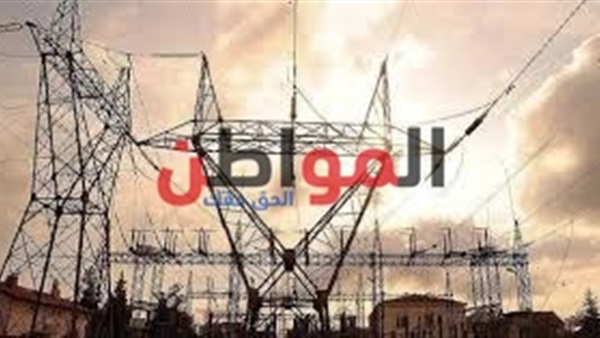 المواطن