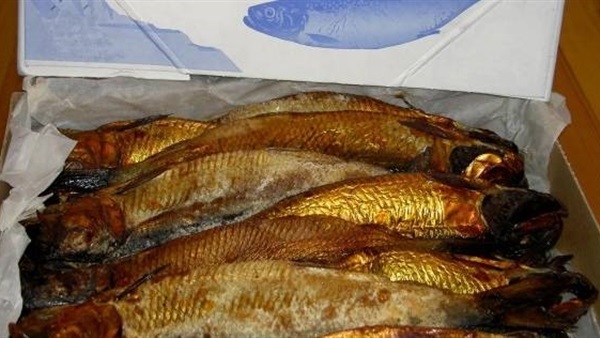 رنجة