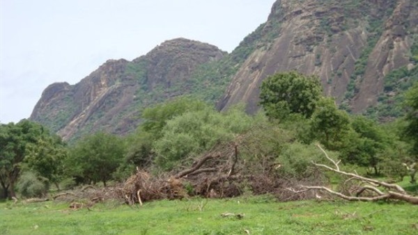 جبال النوبة