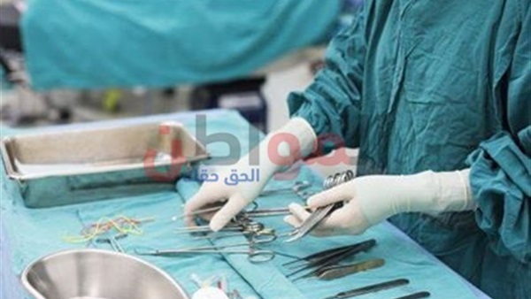 المواطن