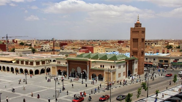 المواطن