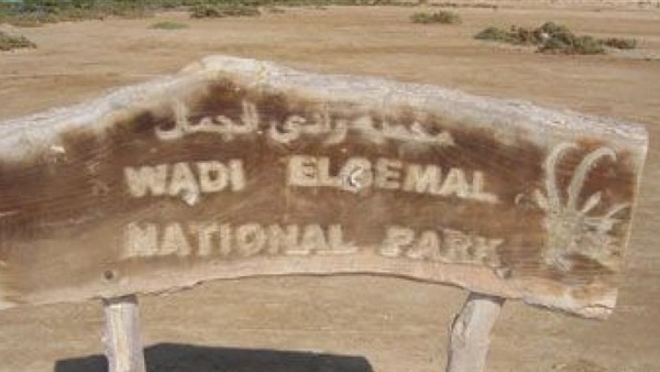 محمية وادي الجمال