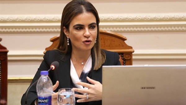 وزير الاستثمار
