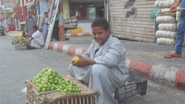 المواطن