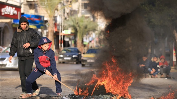 المواطن