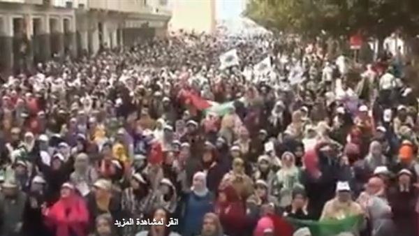 المواطن