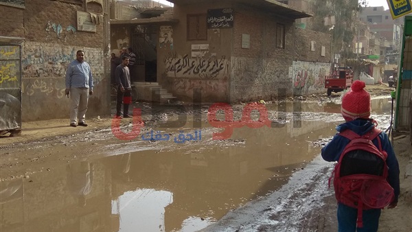 المواطن