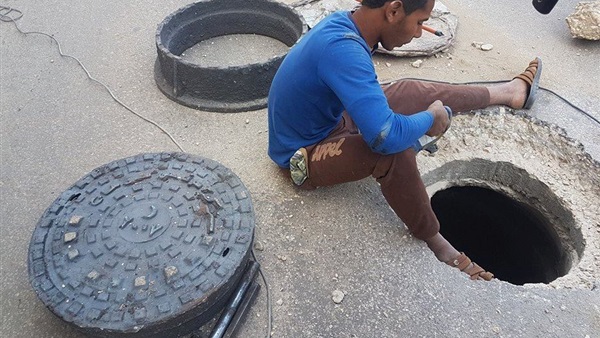 المواطن