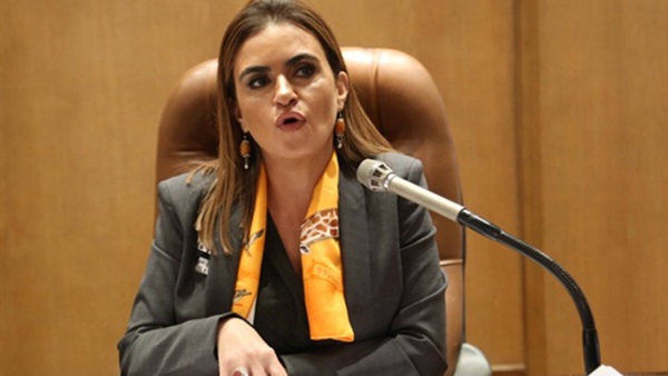وزير الاستثمار