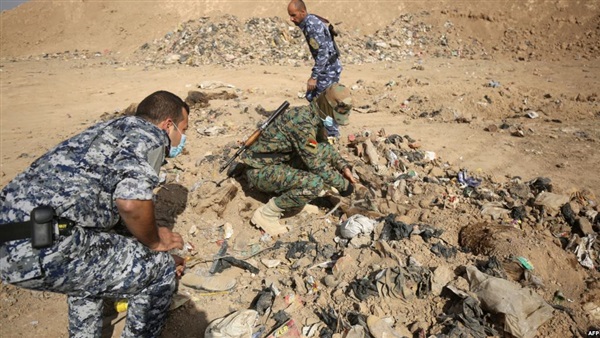المواطن