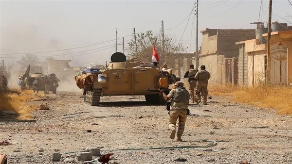 المواطن