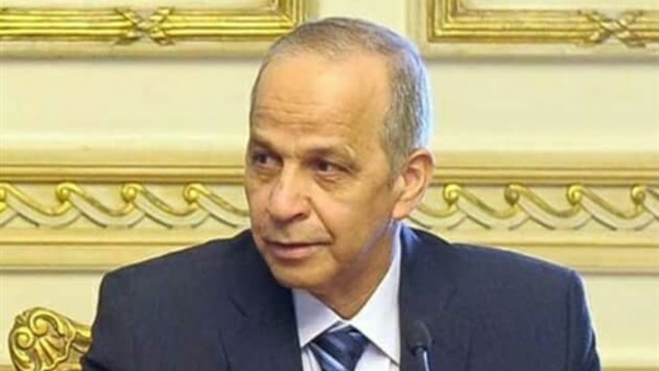محافظ القليوبية