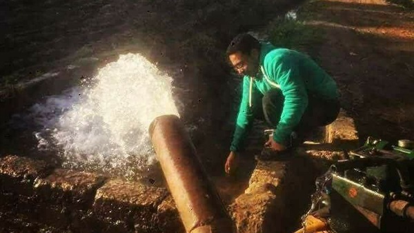 المواطن