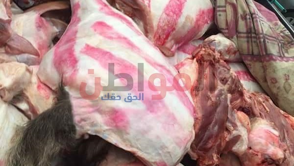 المواطن
