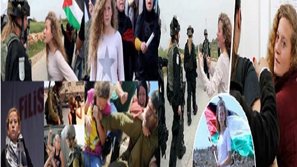 المواطن
