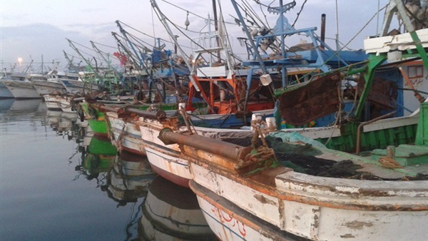 بحيرة المنزلة