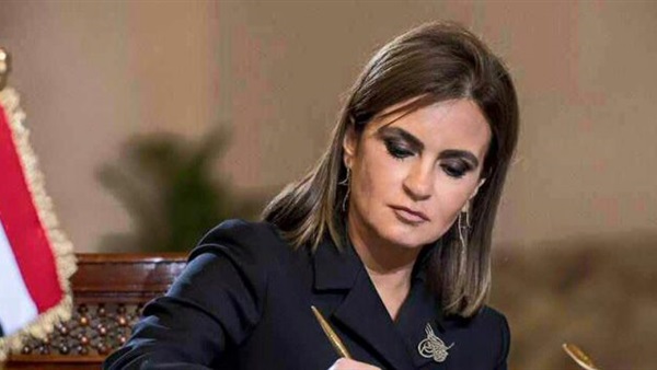 وزير الاستثمار
