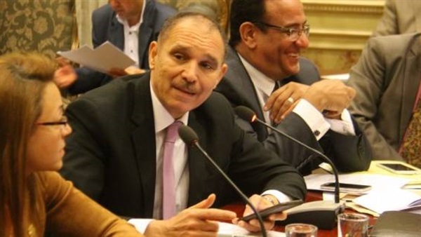 رضا البلتاجى