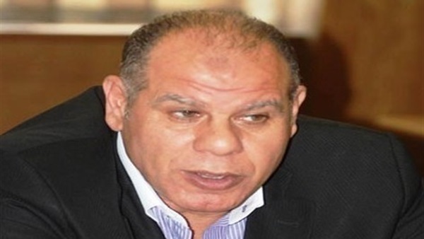 أيمن حافظ