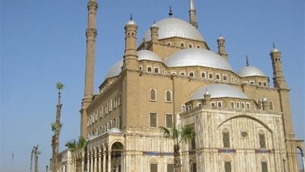 ارشيفية