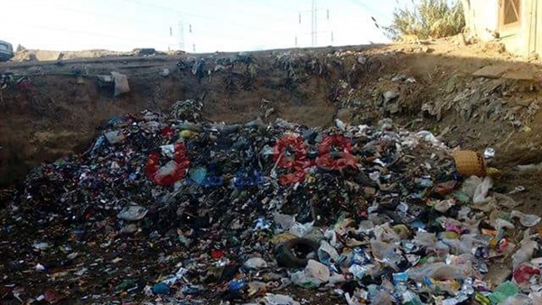 حملة نظافة بالقناطر
