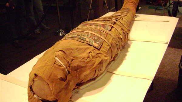 ارشيفية