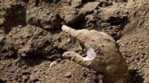 واقعة غريبة من نوعها