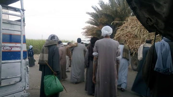 المواطن