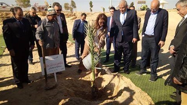 وزير التضامن-نخلة-الوادي