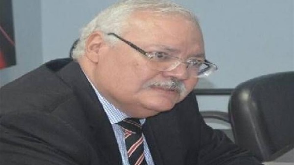 سفير مصر الأسبق لدى