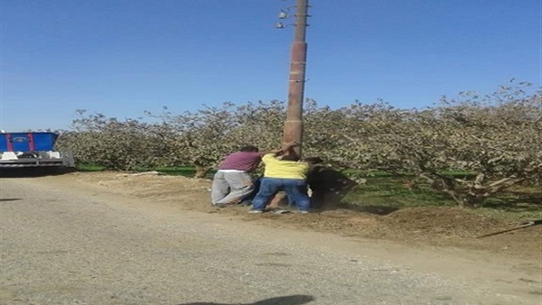 صورة من الموقع