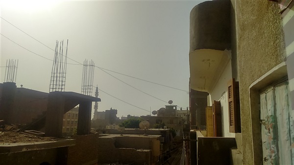 المواطن