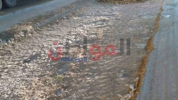 طريق أبوزعبل-مسطرد