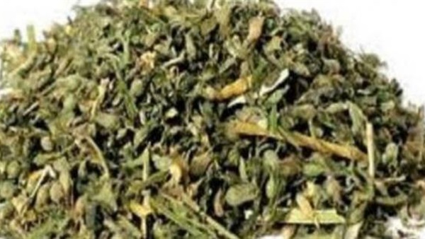 فودو-ارشيفية