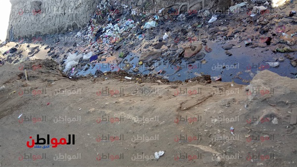 انتشار الحيوانات
