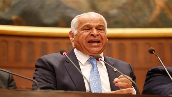 محمد فرج عامر، رئيس