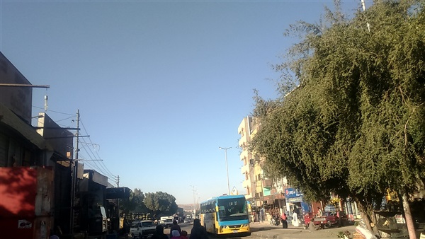 المواطن