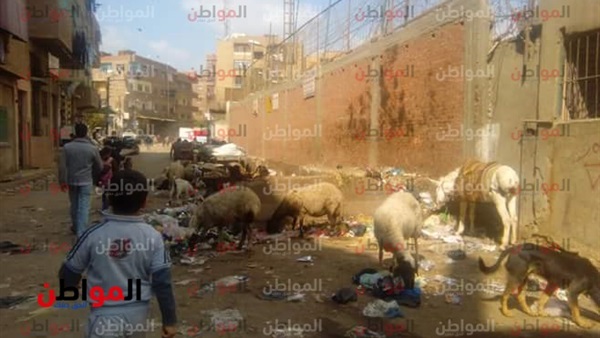 القمامة تحاصر أسوار