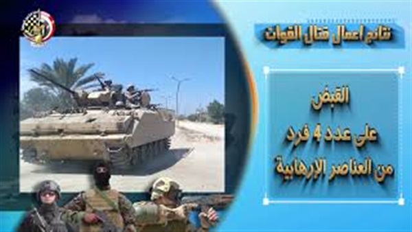 سيناء 2018