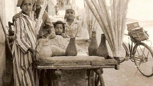 شايل طاجن ستك