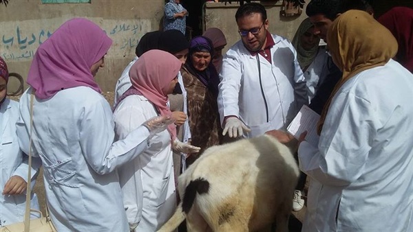 حملة بيطرية