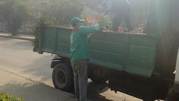 المواطن