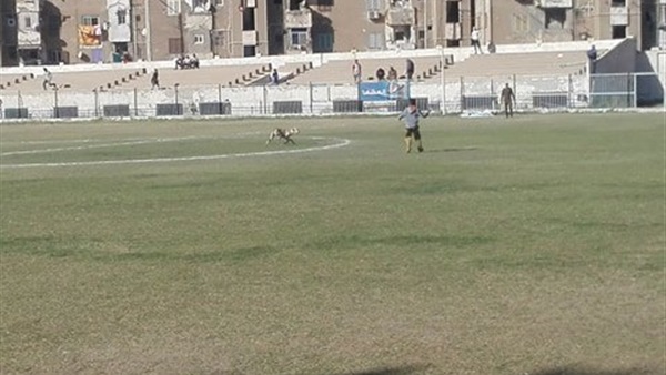 ملعب المباراة