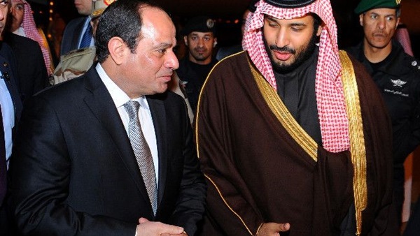 المواطن