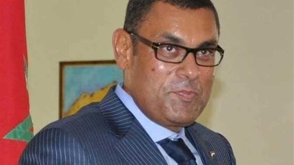 السفير-المصري-في
